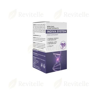 Indiva System